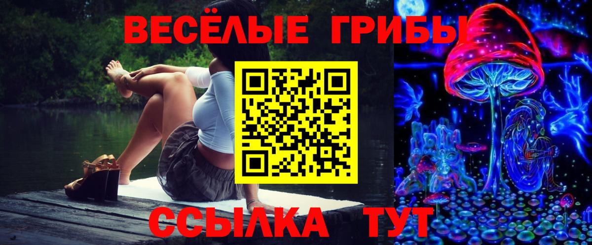 Галлюциногенные грибы Psilocybe Белорецк